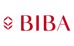 web development company in mumbai
